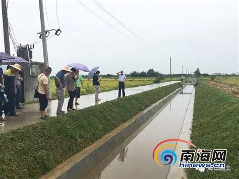 海口三江农场基本农田建设项目通过样板段工程验收_海口网