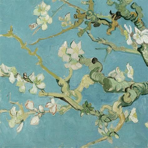 生命之花 | 梵高 Vincent van Gogh (1853-1890)|梵高|生命_新浪新闻