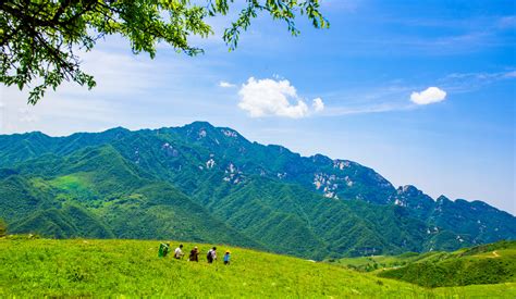 大秦岭，美丽中国综合体 - 地文生物景观 - 太白山旅游官网