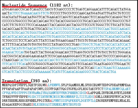 NCBI良心教程，寻找基因转录本序列及相关编码蛋白