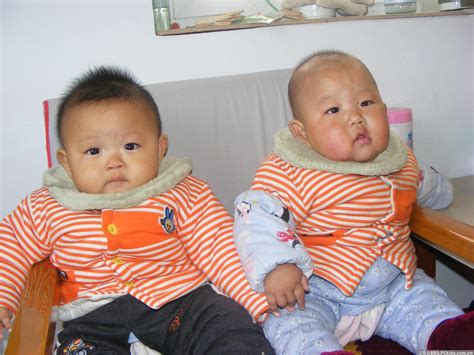 两个月大的异卵双胞胎兄弟姐妹婴儿裹着粉色和蓝色的包裹高清图片下载-正版图片503455700-摄图网