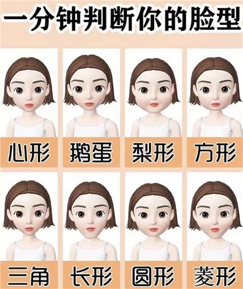 免费扫一扫脸型配发型软件有哪些 免费扫脸配发型软件分享_豌豆荚