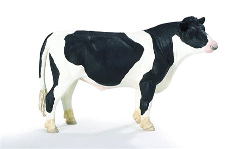 Safari Ltd 2469 Holstein bull white black spielzeug-guenstig.de