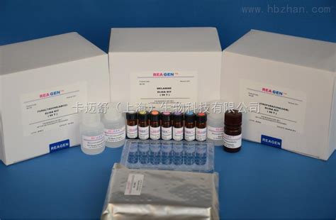 豚鼠生长激素（GH）ELISA试剂盒-卡迈舒（上海）生物科技有限公司