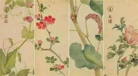 《山海经》之神奇植物篇：做情感大拿-中华网-卢雪镂绘艺术官网