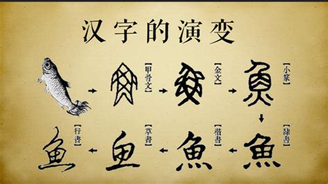 汉字的起源图册_360百科