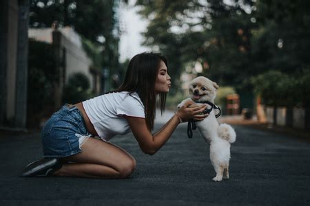 【狗狗行为·理论篇】狗狗真的需要狗朋友吗？