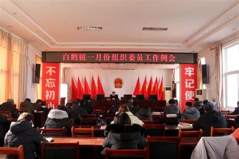 白鹤镇召开2021年一月份组织委员工作例会