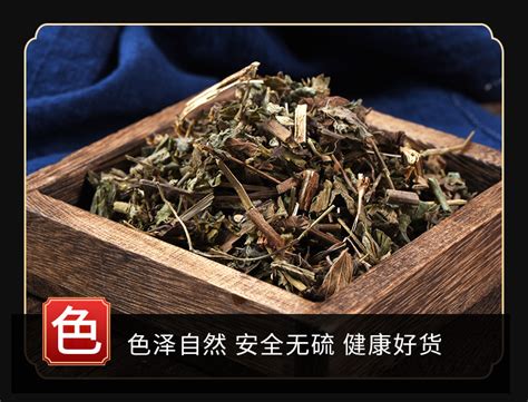脱力草图片