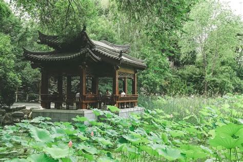【这里是陕西】西安市:莲湖公园 - 西部网（陕西新闻网）