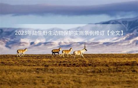 2023年陆生野生动物保护实施条例修订【全文】 - 行政法规 - 律科网