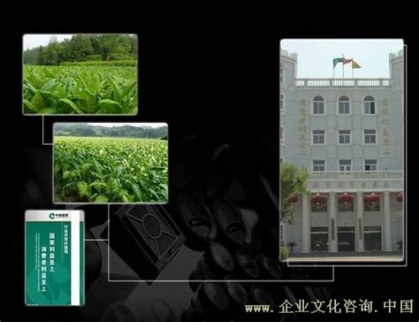 蚌埠烟草公司企业文化提升及文化品牌推广项目作业中-企业文化咨询公司网