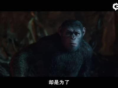 猩球崛起3上映宣传banner_盗心賊-站酷ZCOOL