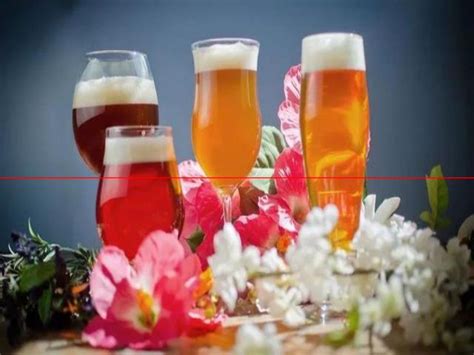 生啤、熟啤、扎啤、鲜啤有什么区别，它们的特点是什么-秒火好酒代理网