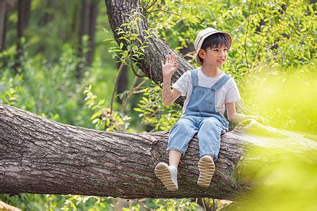 童真活泼坐在树上的小男孩高清图片下载-正版图片501764772-摄图网