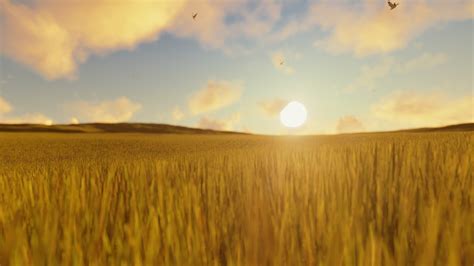 动画动态阳光照耀下的金色麦田麦浪背景视频素材模板下载_动画_图客巴巴