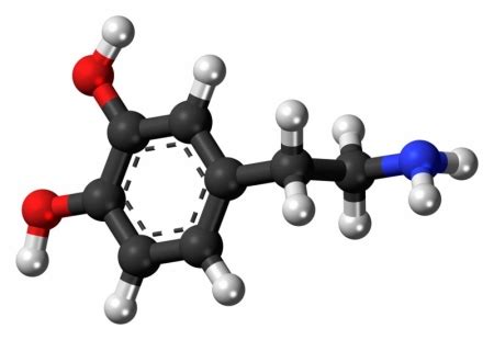 CAS号62-31-7_盐酸多巴胺价格多少钱_英文名及缩写 - 洛克化工网