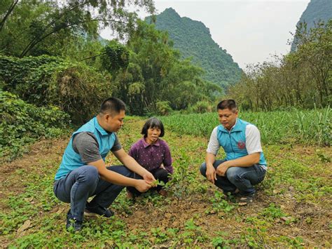 玩转宜州，宜州最好玩Top5！,2024河池榜单,景点/住宿/美食/购物/游玩排行榜【去哪儿攻略】