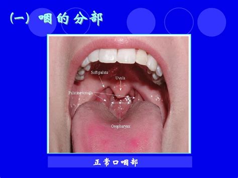 喉咙正常图片