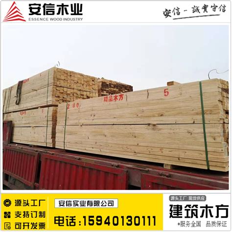 建筑施工用木方 工地方木 4*8 4*9 规格标准 按需订制 安信木业