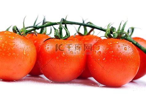 新鲜西红柿加几滴水西红柿番茄高清摄影大图-千库网