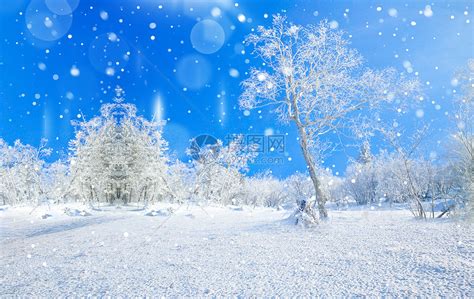 雪景图图片