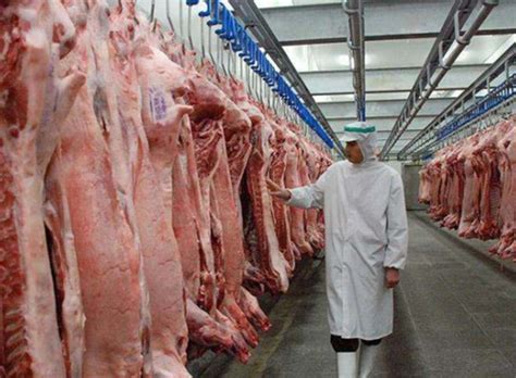 明天开始！又一批储备冻猪肉投放市场！具体价格是…-桂林生活网新闻中心