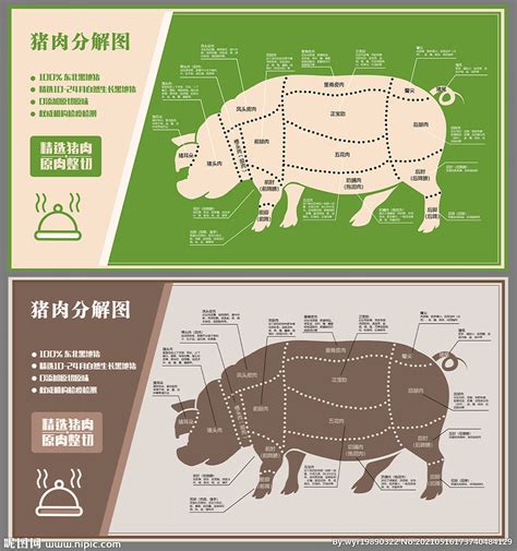 猪肉分割图,宣传类展板,宣传展板模板,设计,汇图网www.huitu.com