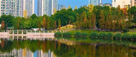 多方面提升市民生活品质 大渡口区打造花园式城市环境—中国·重庆·大渡口网