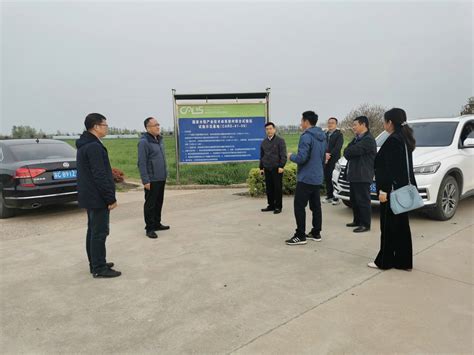 江苏徐淮地区徐州农业科学研究所，徐州市农业科学院，江苏徐州甘薯研究中心 网站首页