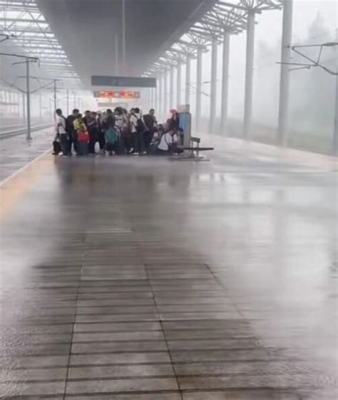 高铁客服回应雨天乘客打伞被制止__财经头条