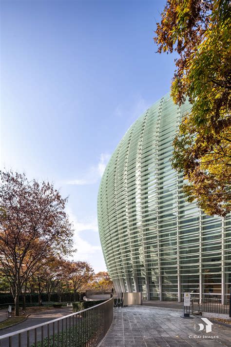 东京艺术大学大学美术馆 - 每日环球展览 - iMuseum