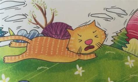 《一只想飞的猫》插图绘制_画画的响宝-站酷ZCOOL
