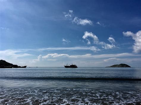 春节南澳呈现“旅游热”，这些景点和活动最受游客欢迎_旅游动态_南澳县人民政府门户网站