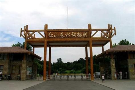 2023南京红山森林动物园免费开放日领券时间+方法_旅泊网