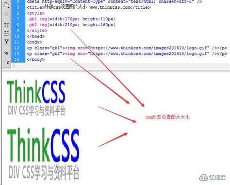 CSS常见样式_css样式-CSDN博客