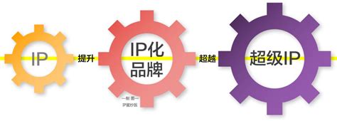 网盛互动公关公司：12年服务500客户，创始人IP孵化打造_中国发展网