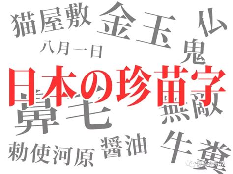 日语入门五十音图假名书写注意事项-天天日语