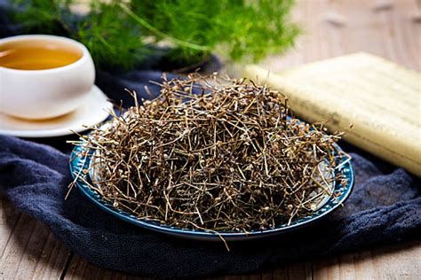 龙舌草图片
