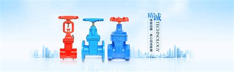 2019年第十一届中国（上海）国际化工技术装备展览会（CTEF） ——信泰阀门集团有限公司 - 信泰阀门集团有限公司