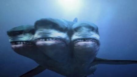 《夺命三头鲨》-高清电影-完整版在线观看