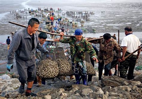 赶海人往事 寻找“海滩银行”的黄金年代 | 中国国家地理网