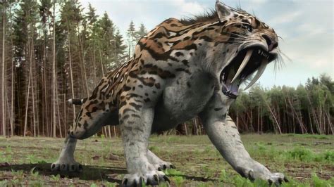10种已灭绝的史前远古巨兽|蛇颈龙|巨犀|菊石_新浪新闻