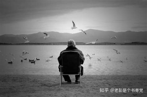 孤独终老图片