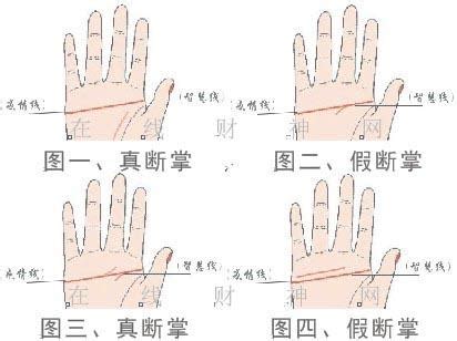 断掌手相图解大全图片