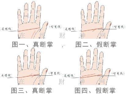 易经手相图解：看断掌手相算命 断掌手相-周易算命网