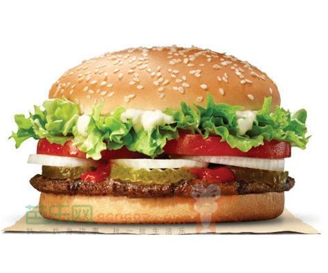 动辄上百的精致汉堡，和汉堡王到底有什么不一样？ | CBNData