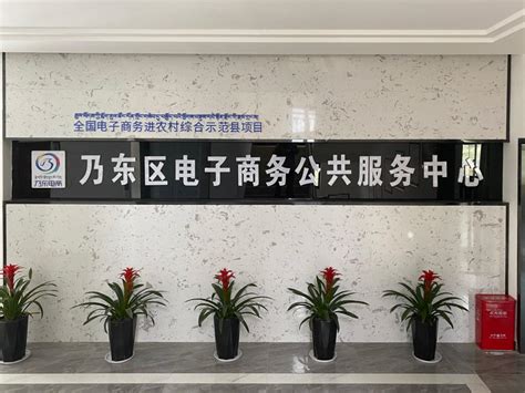 运营公司_关于我们_南陵县电子商务公共服务中心