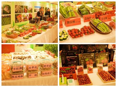 首届山东聊城（莘县）绿色蔬菜博览会新闻发布会在北京举行-中国网