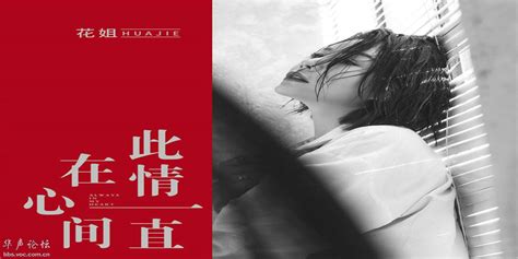 [华语]群星-30首国语经典情歌《爱依旧·怀旧国语金曲 2CD》[WAV分轨] - 音乐地带 - 华声论坛